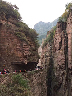 听风淡然采集到我走过的山山水水······