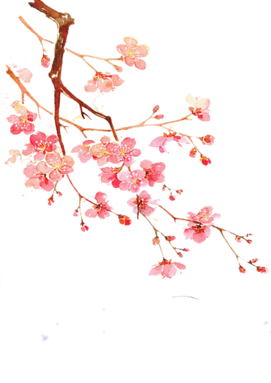 古风/樱花桃花/古言封面素材
