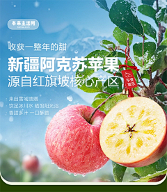 zzhenzhu采集到水果海报