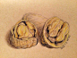 坚果-美-兰子_坚果_涂鸦王国插画