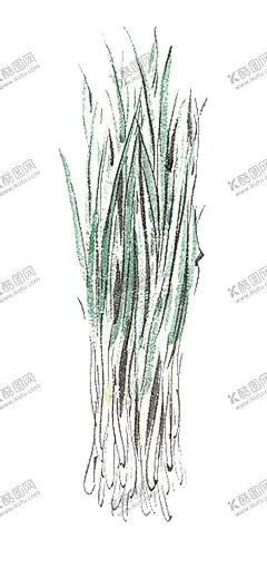 绿色装饰 【酷图网】绿色装饰,热带树叶,小清新树叶,植物背景,背景简约,植物树叶,底纹,竹栏杆,电视背景墙,背景墙,装修,背景墙效果图,室内背景墙,效果图,免扣,壁画,装饰画,纹理,壁纸,墙纸,沙发背景墙,砖墙,墙面,绿色,藤蔓,蔷薇,玫瑰,蝴蝶,树叶,边框,植物