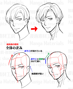 小ちゃん采集到头部透视