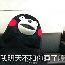 1个迷人的小萝卜头采集到熊本熊（表情包）