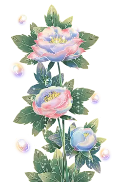 梦幻牡丹花卉花朵泡泡植物
