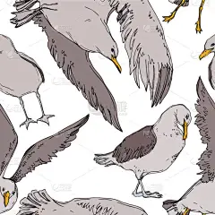 在野生动物中向天鸟海鸥矢量。黑白雕刻水墨艺术。无缝背景模式.