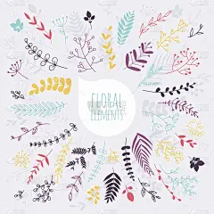 花卉元素。手绘设计元素。sprin集合