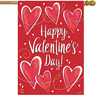 Love Filled Mason Jars Valentine's Day House Flag 40" x 28