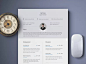 calssy classic resume template