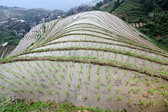 YangSLong采集到场景