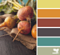 Design Seeds® | find your palette