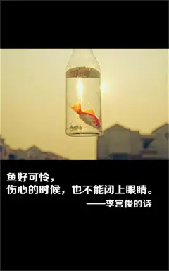李宫俊的诗图片、李宫俊文字图片、文字控图片、文字美图、手机文字壁纸