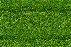 草绿色大自然摄影图