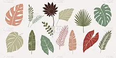 矢量手绘的各种剪影树枝与抽象的热带树叶。植物元素集与大地色调的颜色。