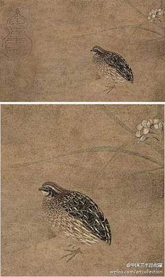 草堂话旧（采集到国画（宋。赵佶-）