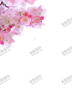 传统古风水墨花 【酷图网】桃花,手绘桃花,国画桃花,桃花国画,水墨画桃花,梅花,花枝,中国风,桃花梅花,花朵,植物,装饰素材,粉色,水彩,涂鸦,绘画