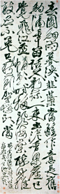 徐渭