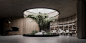 underground bunker 'plan B' features spacious living room with glass-encased tree