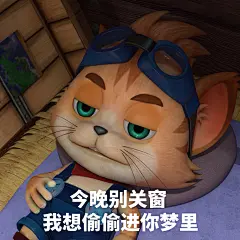 探探猫表情包：美丽动人的我今天依旧光彩夺目！06