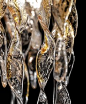 A close-up of the glass used in one of our Astraea chandeliers. Yes, that's real gold in the glass