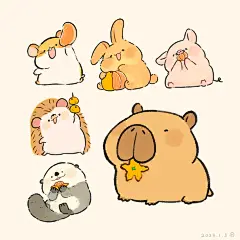 51 砂糖橘1 - 小红书