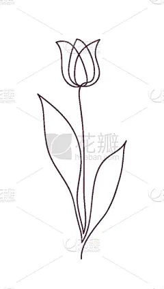 郁金香,自然美,概念,线条画,式样,摆拍,浪漫,铅笔,花