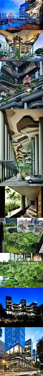 【新加坡皇家花园酒店景观】新加坡的建筑事务所WOHA一直是绿色城市的倡导者，将绿色从自然引入城市。PARKROYAL on Pickering被设计成为一个率容量倍增的花园酒店，美丽的热带花木与棕榈树点缀着空中花园。如此繁荣茂盛的绿色与周边临近公园连成一气，形成连续的绿色景观。