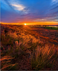 The feather-grass sunset by Фёдор Лашков - Photo 222099983 / 500px
