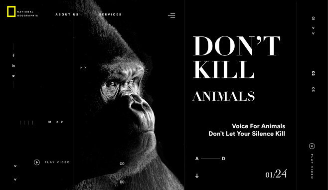 Don't Kill Animals R...