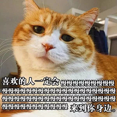 繁花末落、向谁倾诉心声采集到好玩