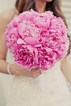 捧花#植物##壁纸##小清新##花朵##捧花##婚礼#