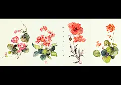 绯羽空空 - 小花儿