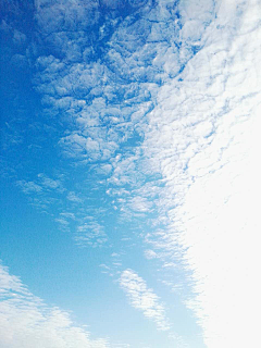 爱花儿的人采集到天空^白云^太阳