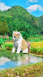 @cici燕儿321 的个人主页 - 微博