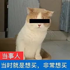 猫咪表情包 - 小红书
