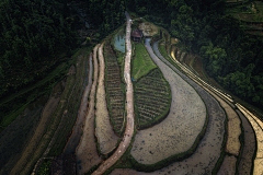 亚洲舞王赵四儿采集到风景、动物摄影