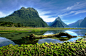 General 2547x1646 landscape photography nature mountains moss Milford Sound fjord national park New Zealand