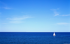 浅浅笑了采集到色彩