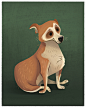 Ashley Odell on Behance