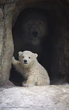 Baby and mama