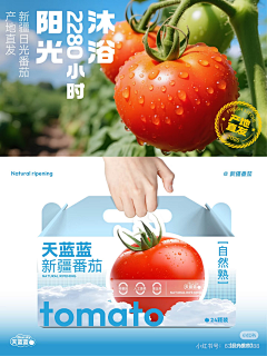 九命猫猫采集到餐饮甜品海报