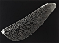 Design Catalyst - gacougnol: Kazuyuki Soeno Fossil of Light