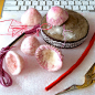Specimens from Regnum Fungi on Behance