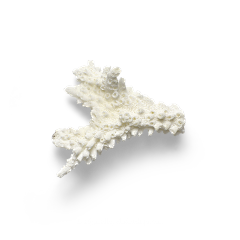 yunshilai采集到海边