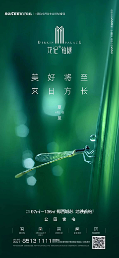 SEEWAY-XLJ采集到海报-夏至