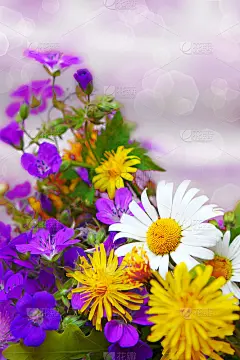 五颜六色的花束。