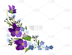 绘画插图,装饰品,勿忘我,紫罗兰,矢量,分离着色,白色背景,华丽的,请柬,贺卡