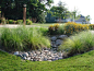 Small granite boulders and cobble stones mixed with perennial plantings soften the look of a drainage culvert at a driveway entrance.: 