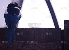 大喜鹊鸟