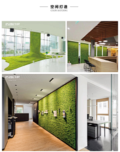 ZITINO采集到architectural green wall
