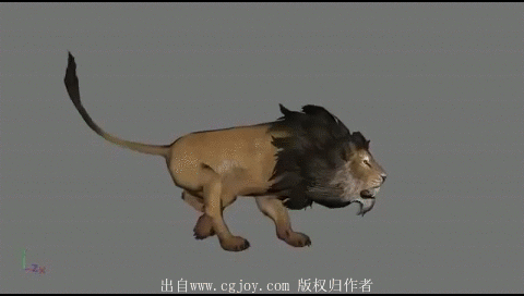 豹子 狮子 山猫兽等猫科动物攻击 死亡受...